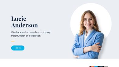 17 free personal wordpress themes for portfolio and cv websites 2023