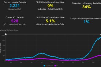 150 catchy fear of snakes statistics