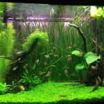 150 catchy fishing clothing brands