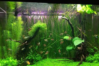 150 catchy fishing clothing brands