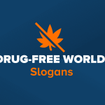 251 best catchy rug slogans