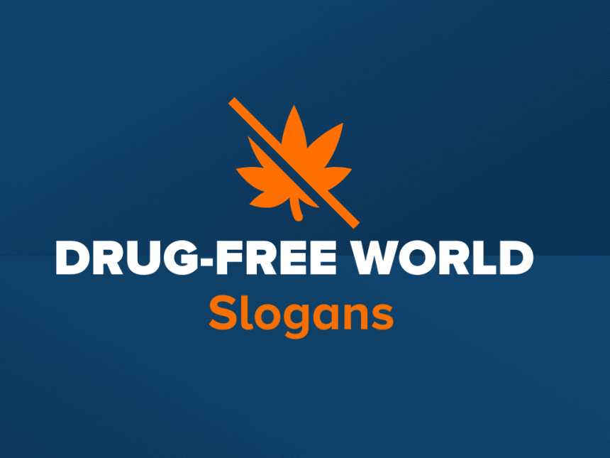 251 best catchy rug slogans