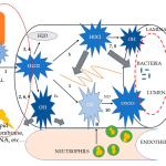 the healing crystals for diarrhea