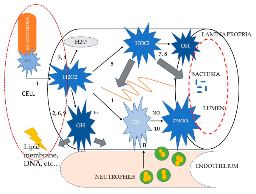 the healing crystals for diarrhea