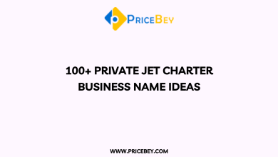 100+ Private Jet Charter Business Name Ideas