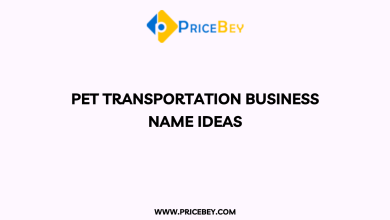 Pet Transportation Business Name Ideas